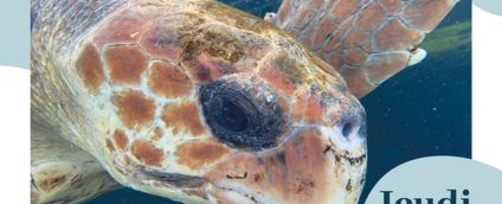 Les conférences en Méditerranée Porte des Maures