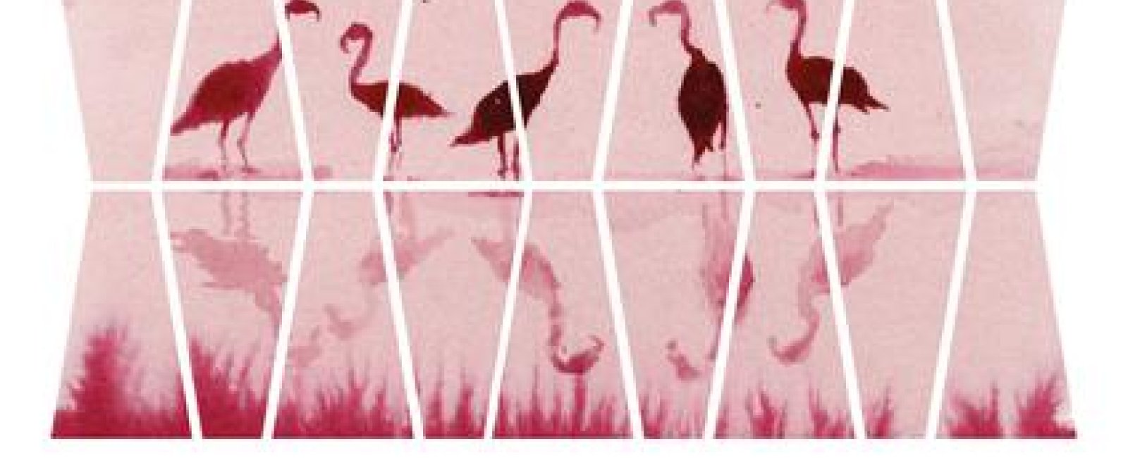 Les expositions de peintures en Méditerranée porte des Maures