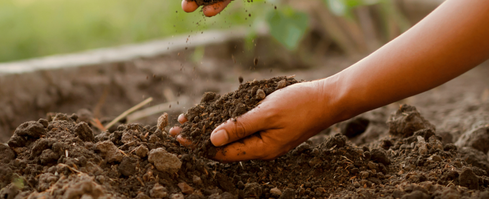 Conférence environnement : "Le rôle précieux et insoupçonnée du compostage face au réchauffement climatique "_La Londe-les-Maures