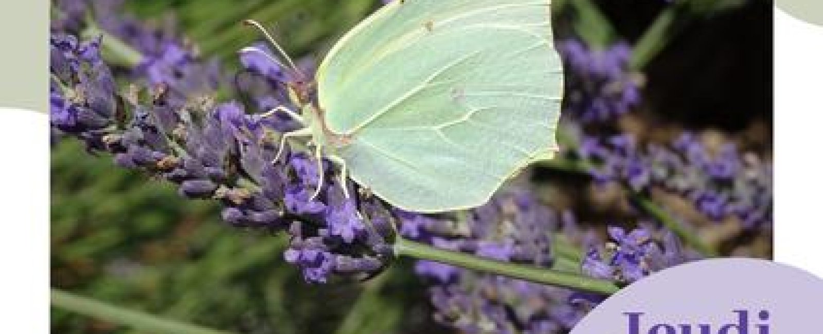 Les conférences en Méditerranée Porte des Maures