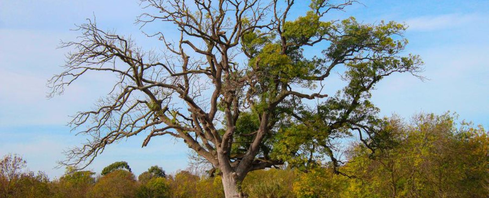Les conférences environnement en Méditerranée porte des Maures