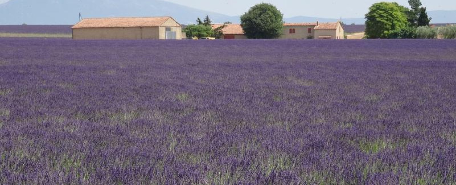Les conférences environnement en Méditerranée porte des Maures