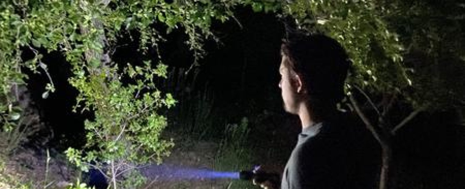 Balade nocturne : la vie secrète de la forêt_Collobrières