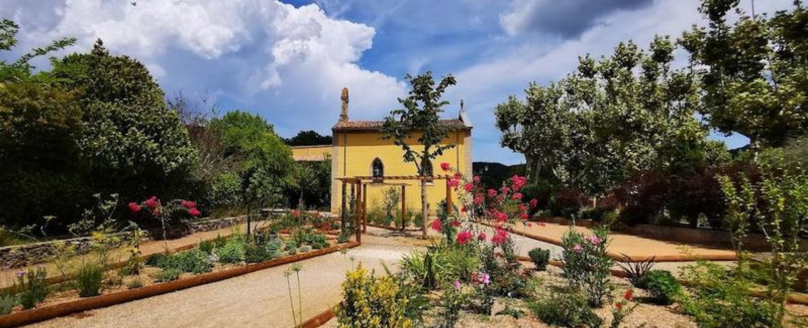 Découverte des plantes sauvages et médicinales_Collobrières