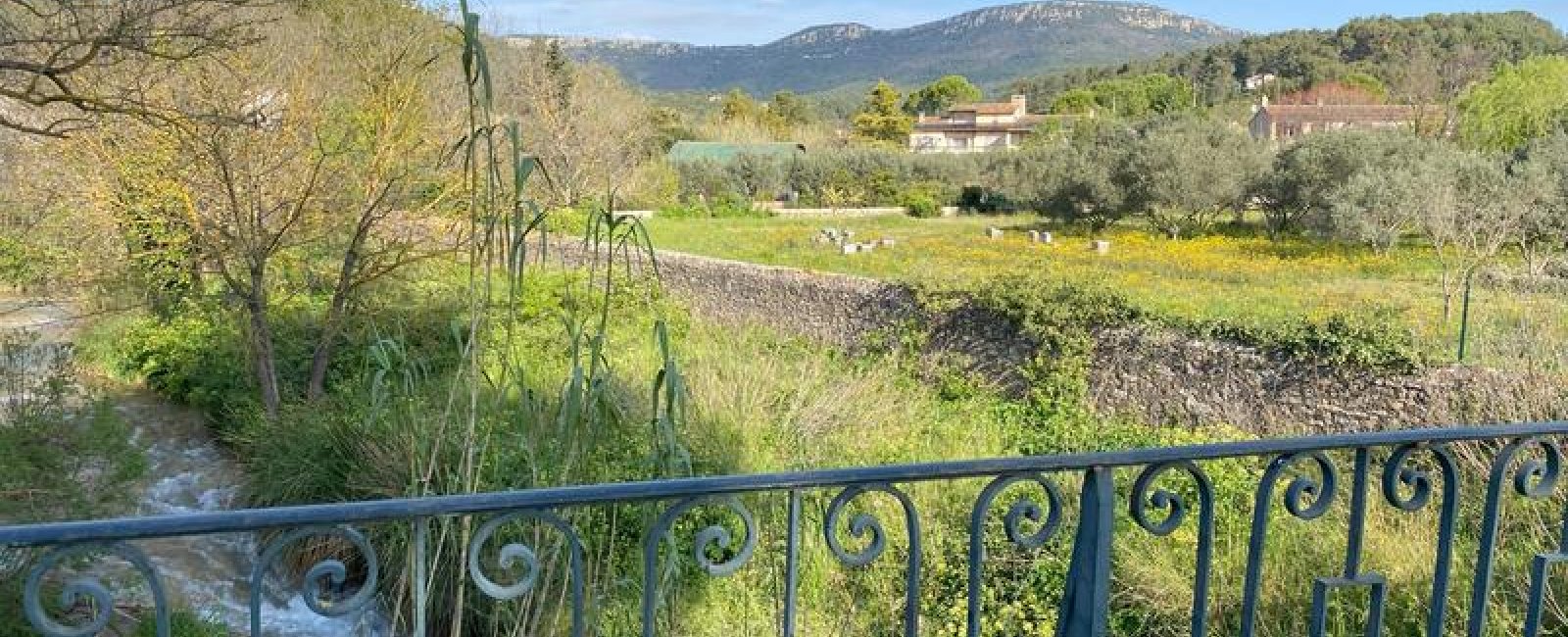 paysage agricole de Cuers