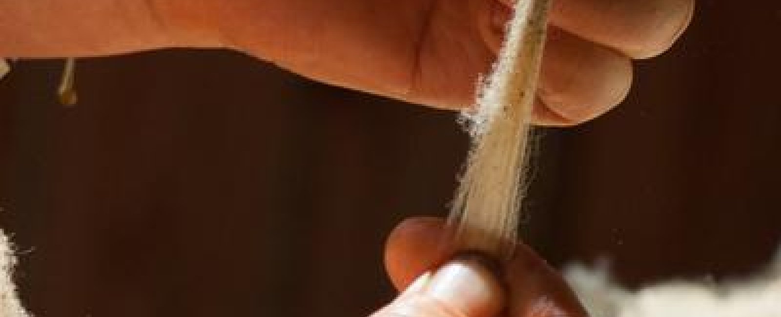 Atelier d'initiation - création de fleurs en laine feutrée avec la Ferme du Lambert