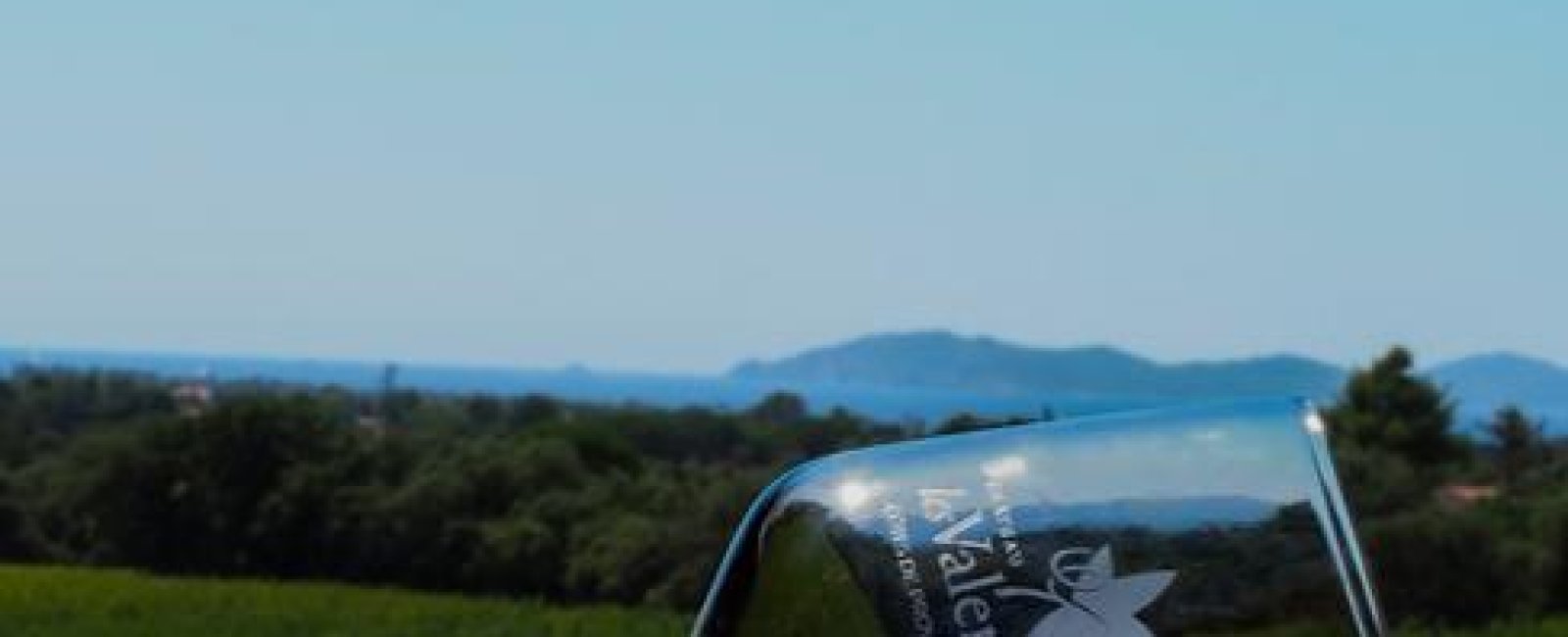 Verre de dégustation Château Les Valentines