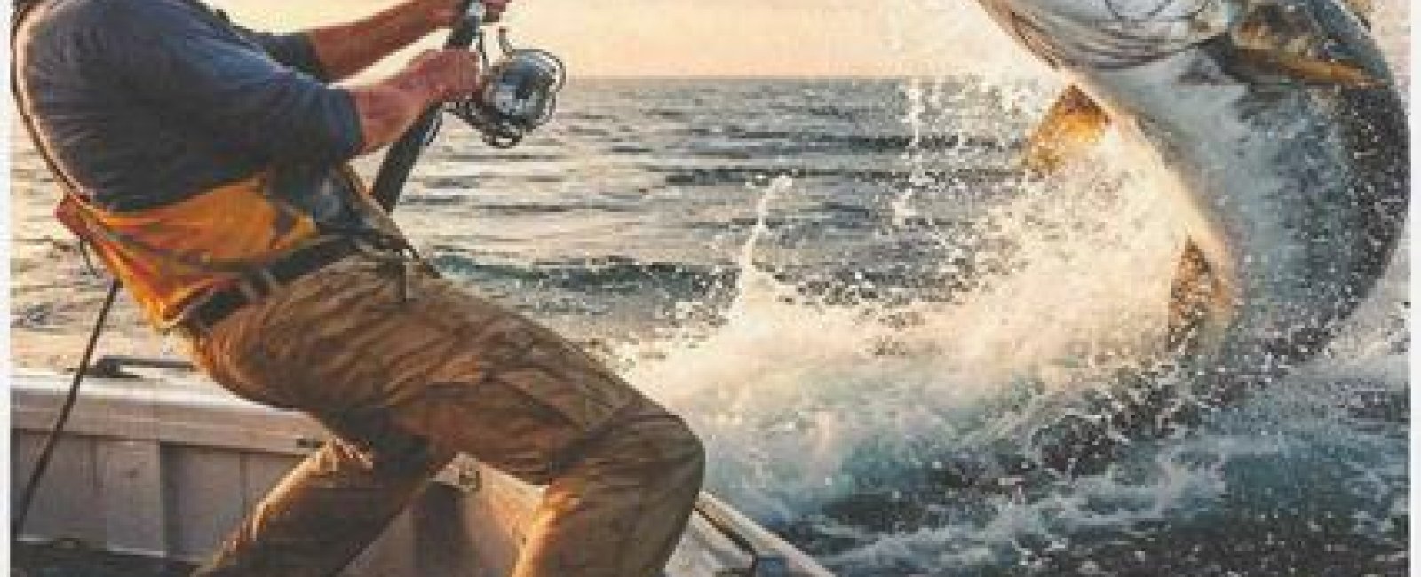 Simulateur de pêche en Méditerranée Porte des Maures