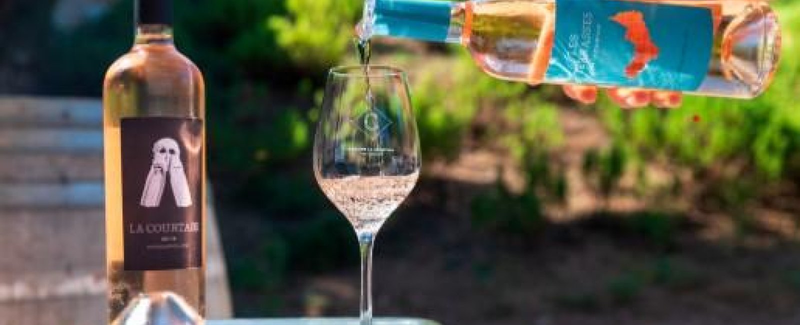 Oenology workshop at the Musée du Niel_Hyères