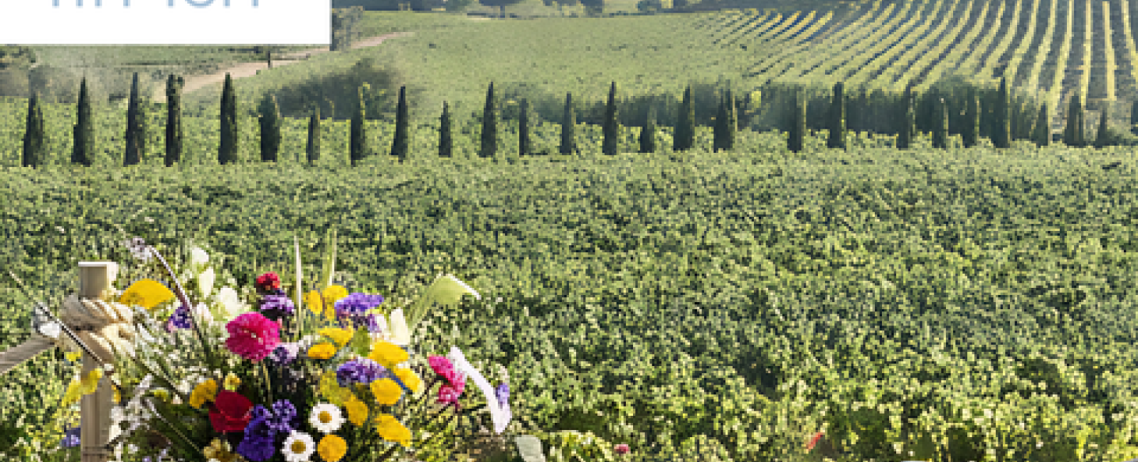 Brunch au Château Maravenne à la Londe les Maures