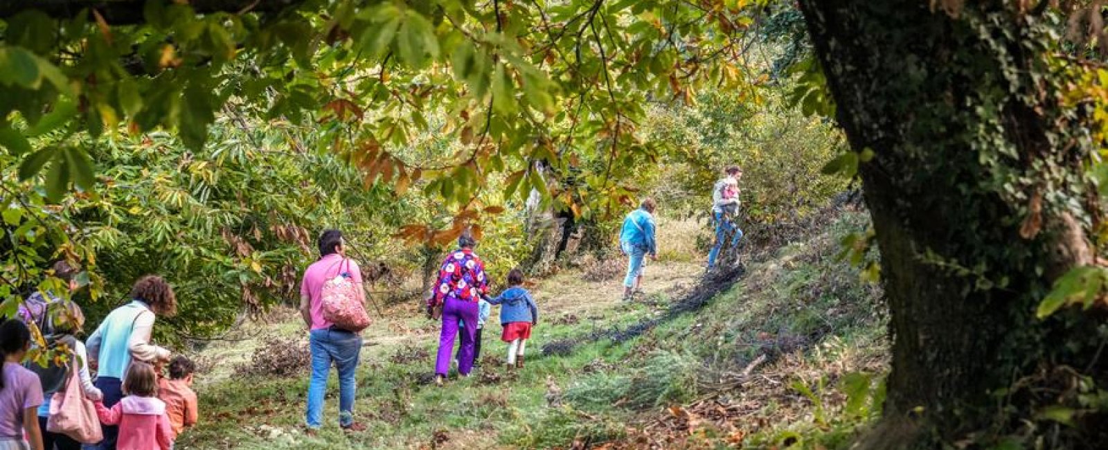Atelier du petit castanéiculteur à la Châtaigneraie Godissard à Collobrières