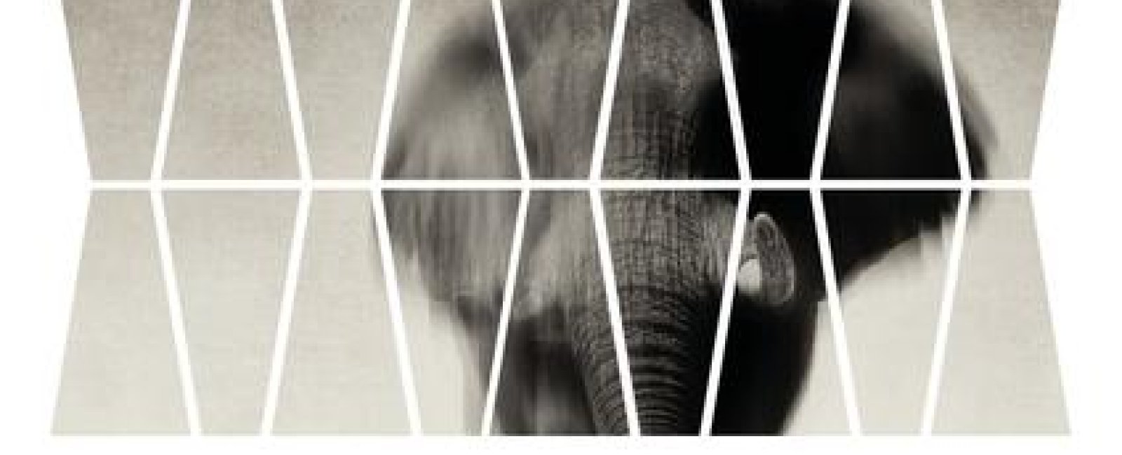 Les exposition en Méditerranée Porte des Maures