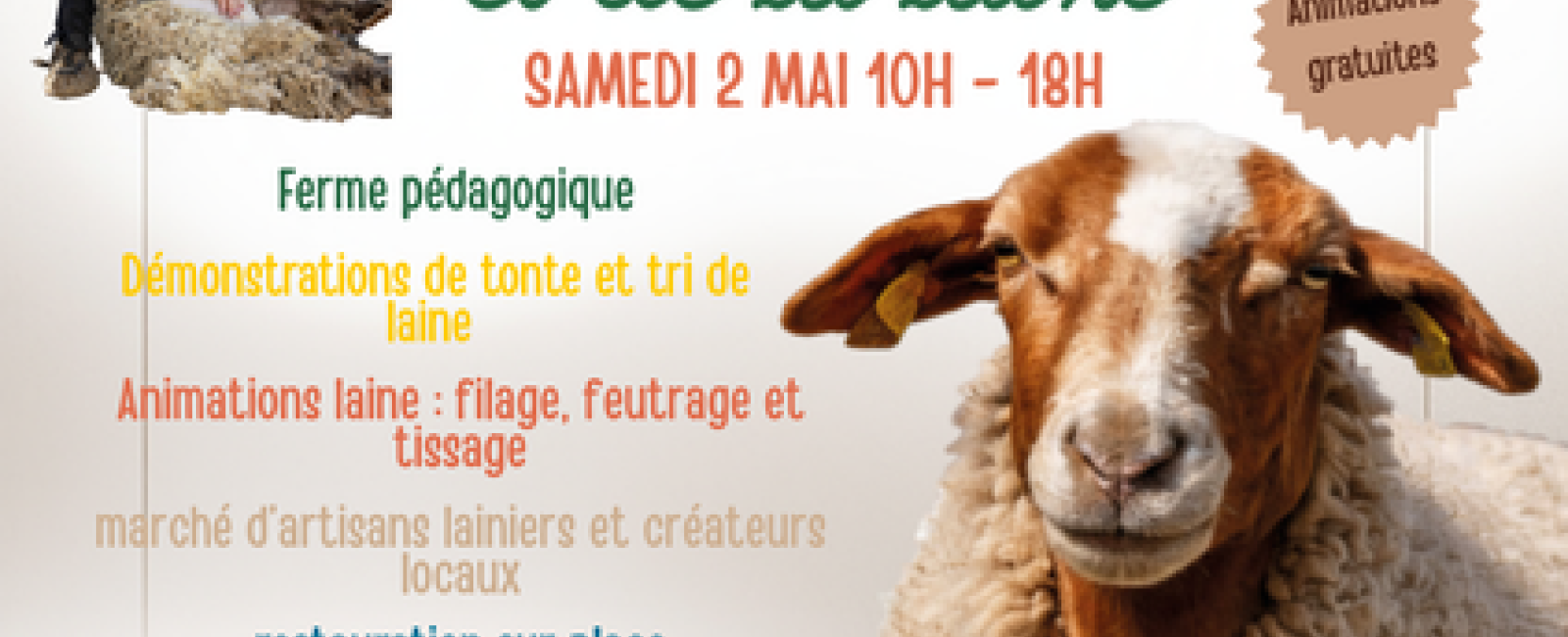 Fest der Schur und der Wolle_Collobrières