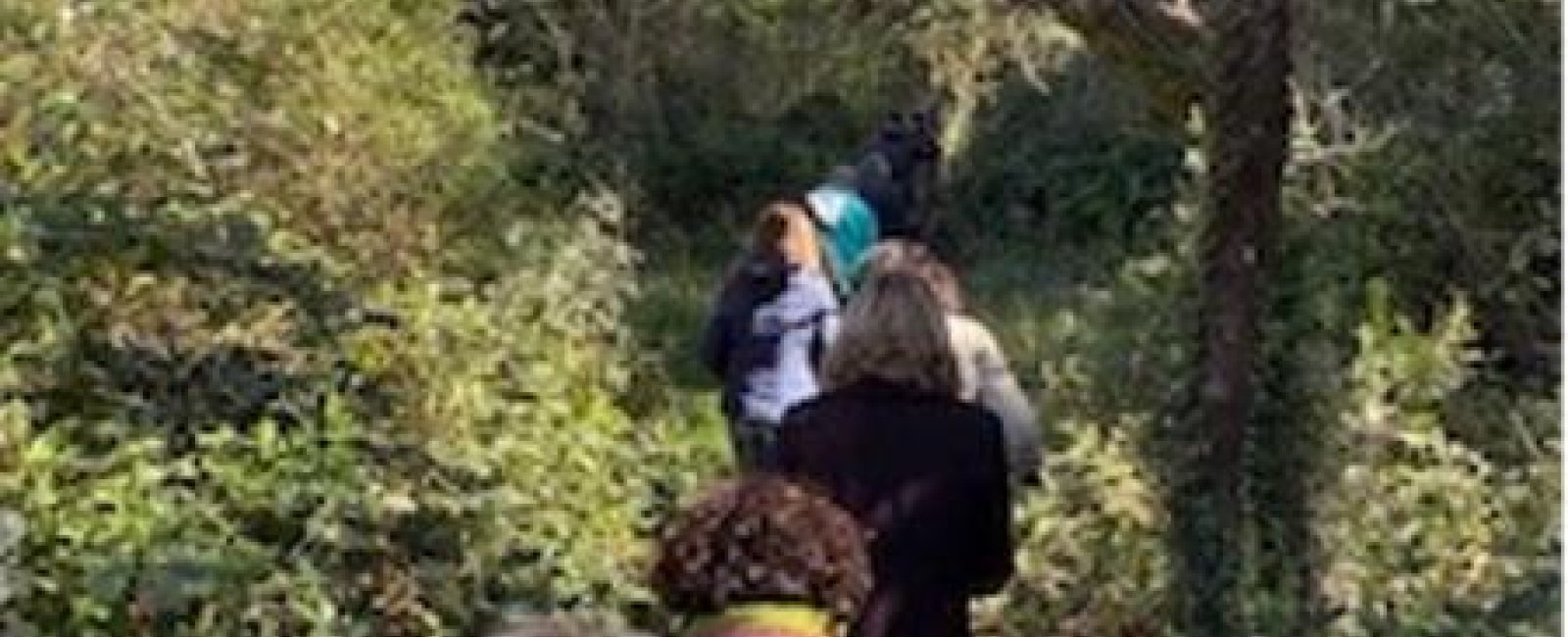 Balade en Méditerranée Porte des Maures