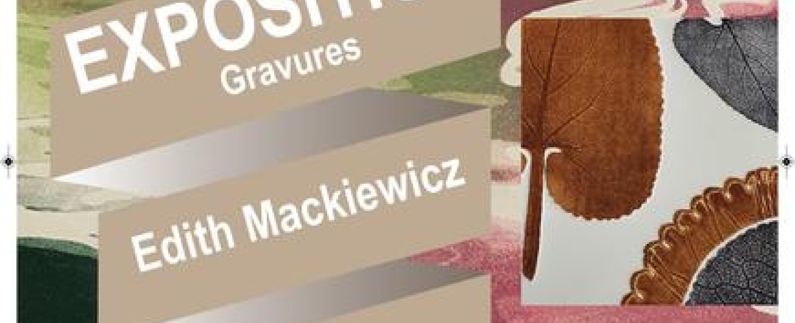 Exposition : Mackiewicz Edith_Collobrières