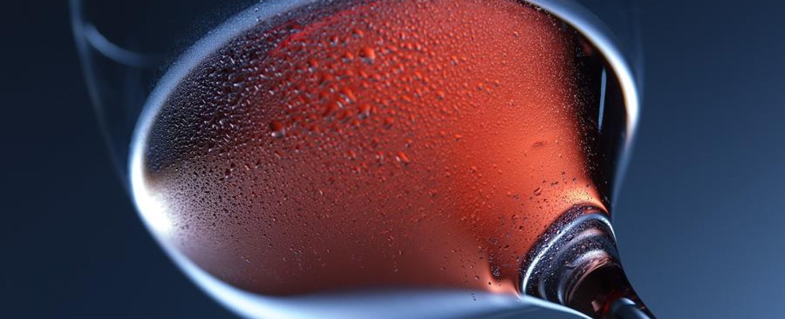 Célébrer l'été en Méditerranée Porte des Maures