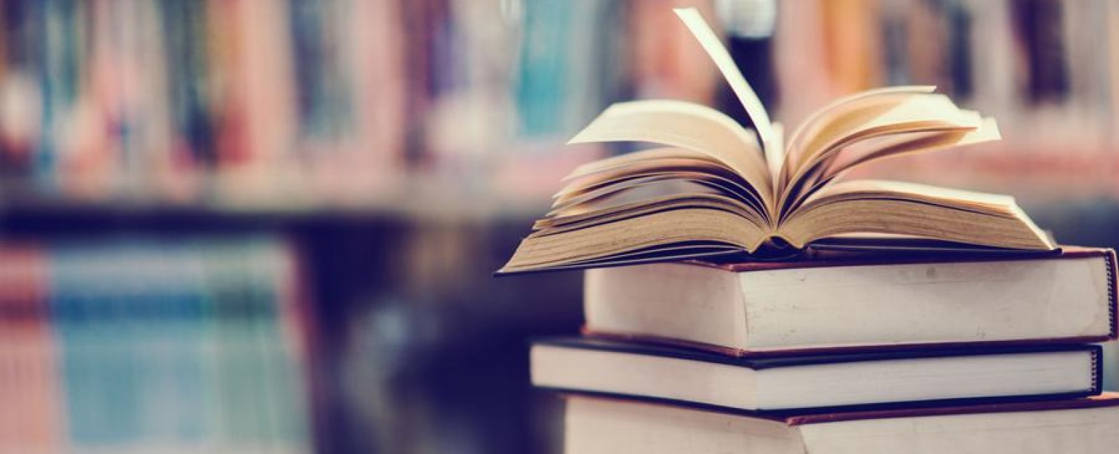 Les animations en Méditerranée Porte des Maures