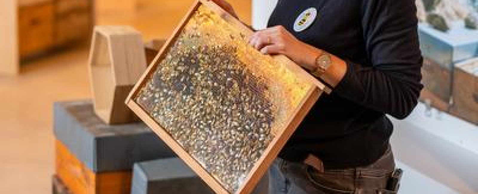 Visite guidée de la Butinerie_Bormes-les-Mimosas