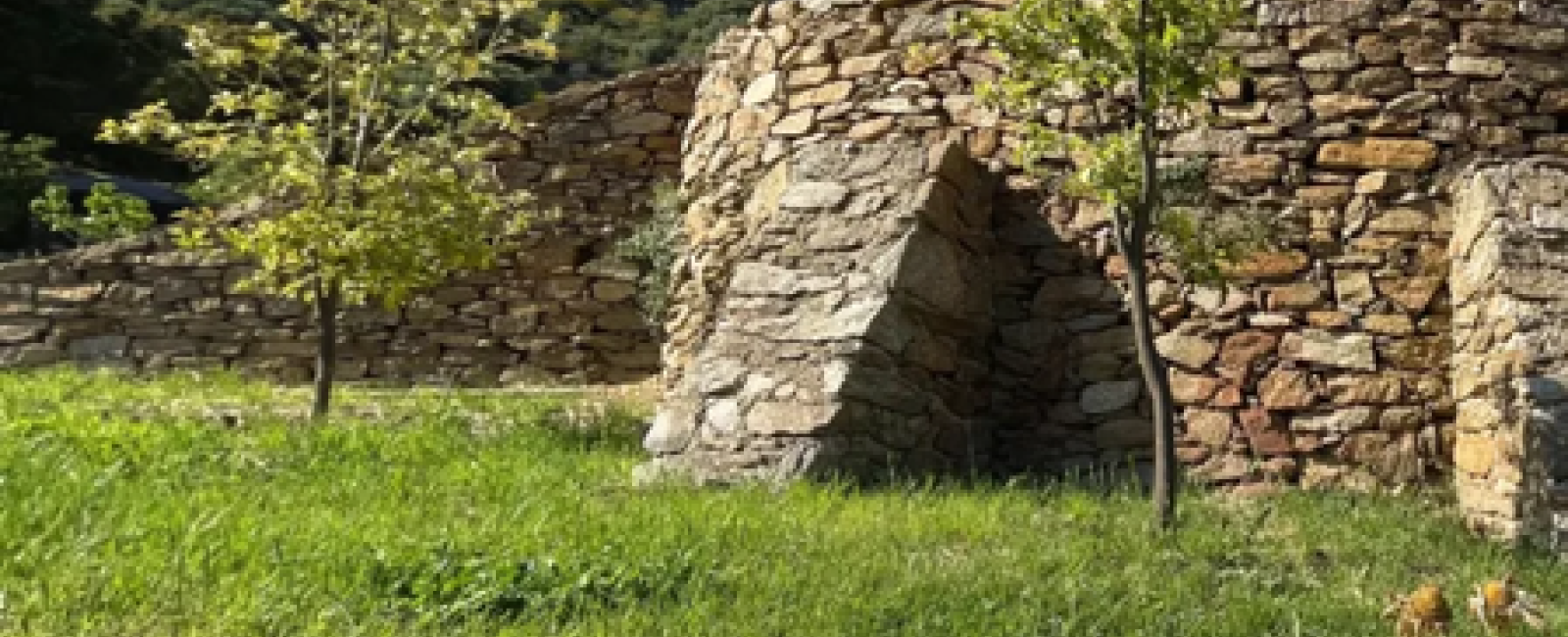 Visite des restanques de Saint-Clair_Le Lavandou