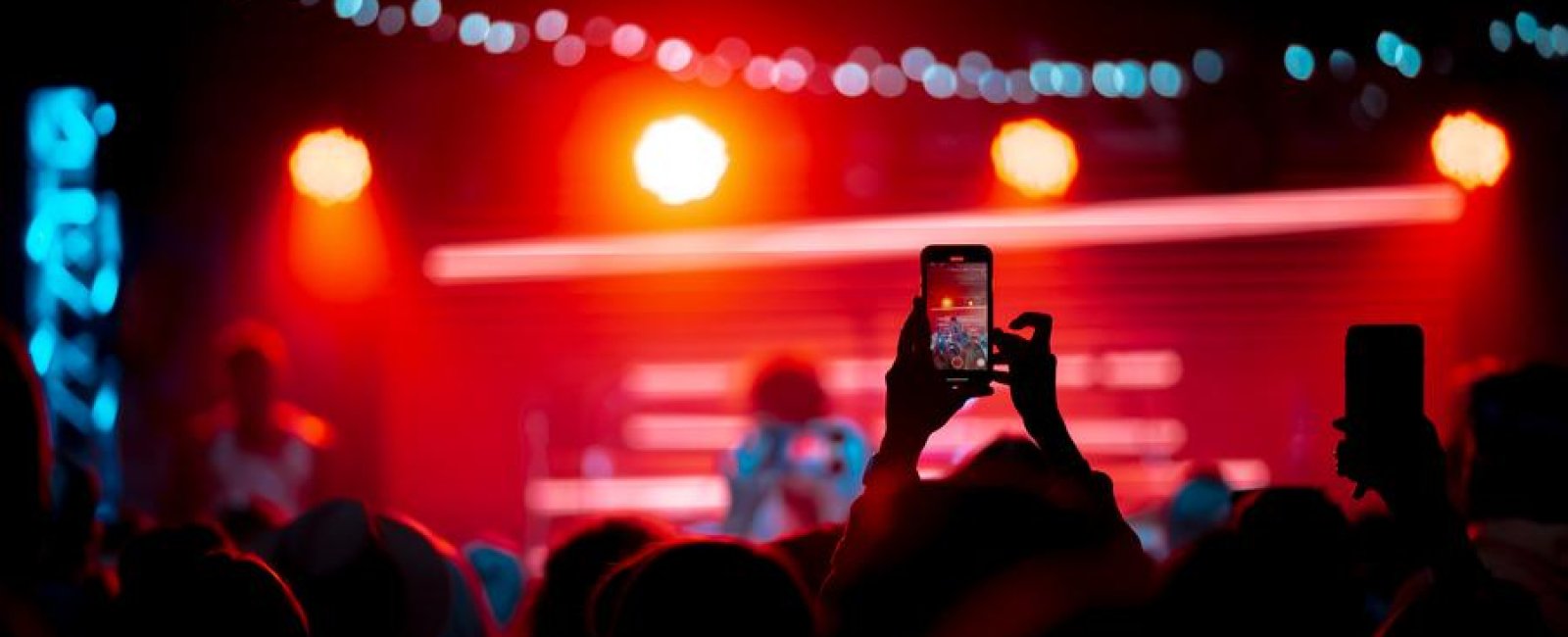 Festival de Musique des Oliviers, Concert : "Bubu the Night" à La Londe les Maures