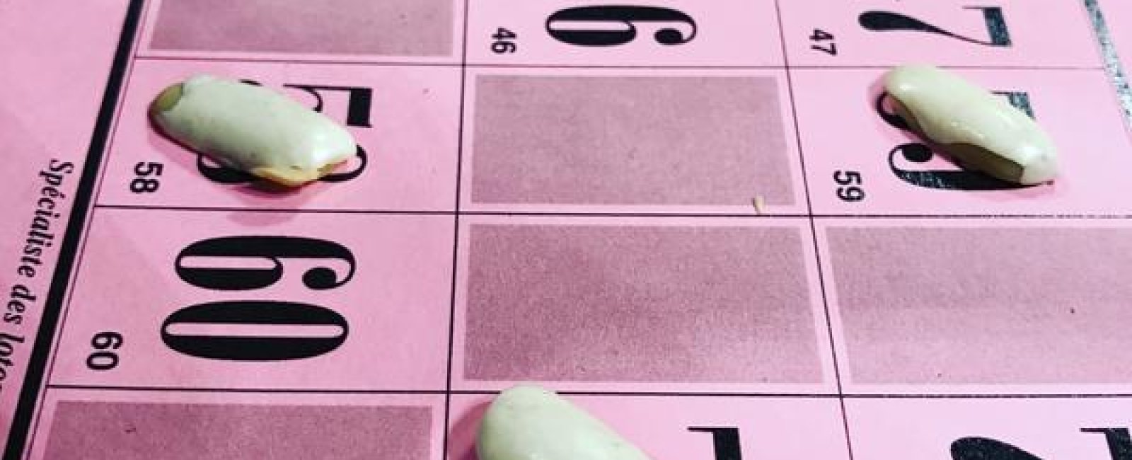 Les animations en Méditerranée Porte des Maures