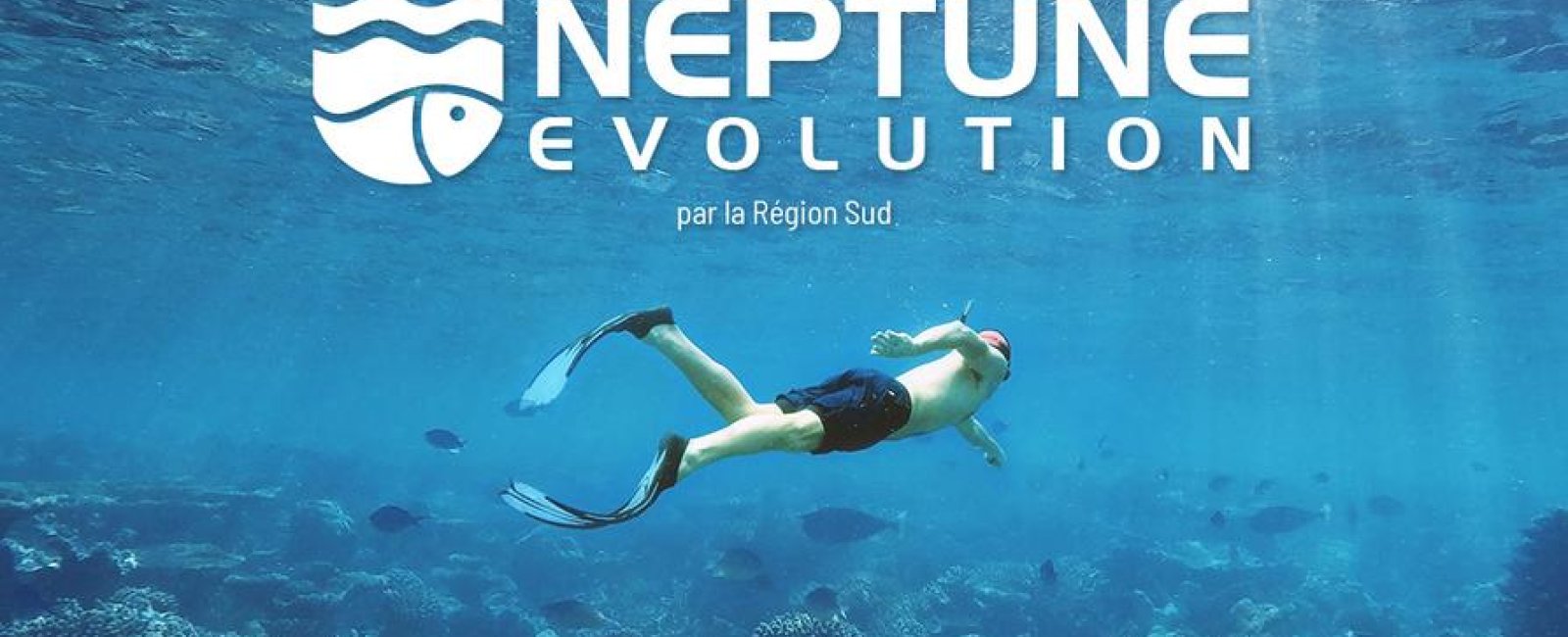 Neptune Evolution : une odyssée sous-marine méditerranéenne accessible pour tous à  La Londe-les-Maures
