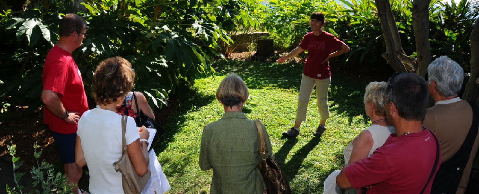 Visite guidée botanique