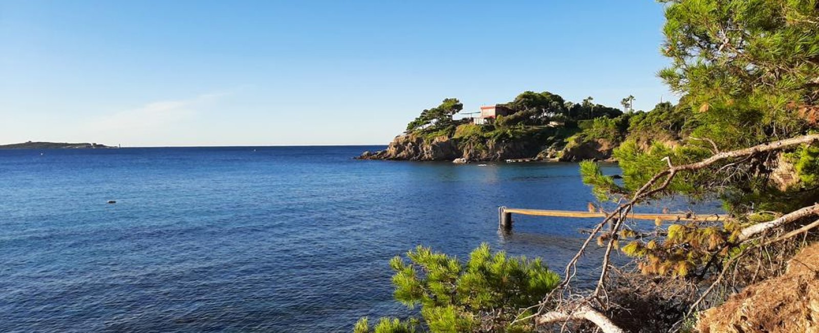 Graines de pirates à Giens : plantes pirates et trésors naturels_Hyères