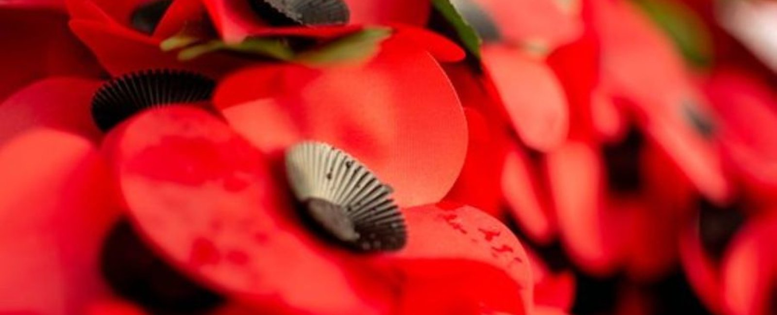 104ème anniversaire de l'Armistice