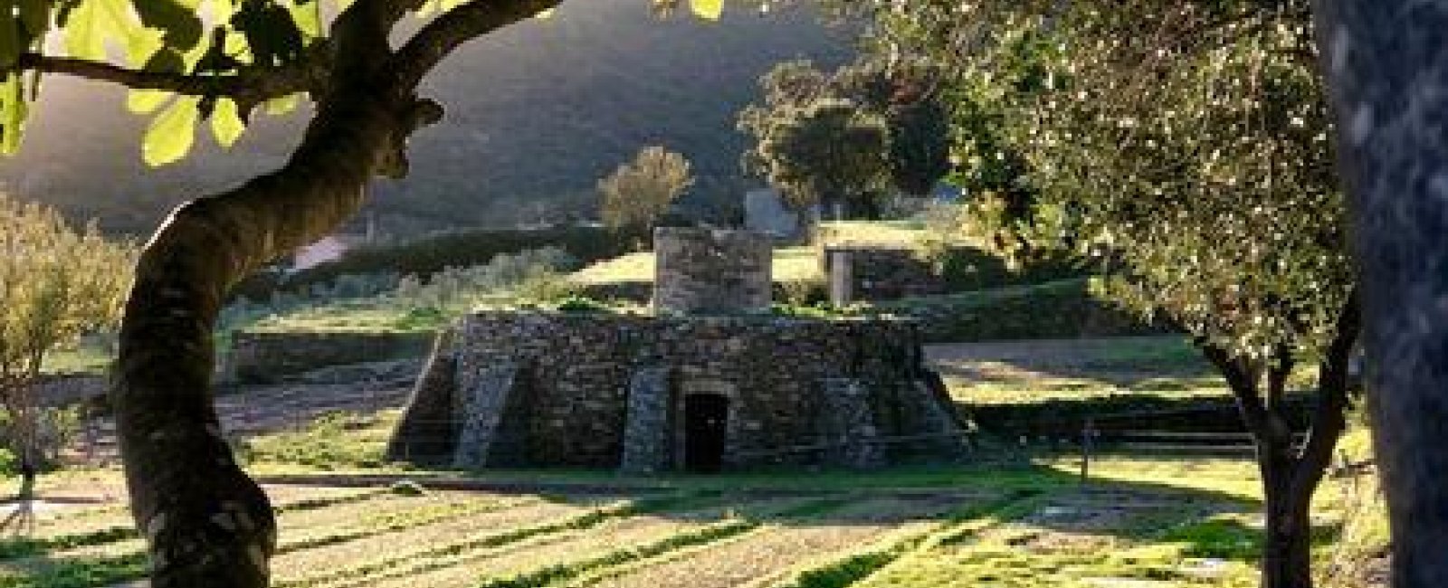 Noria
