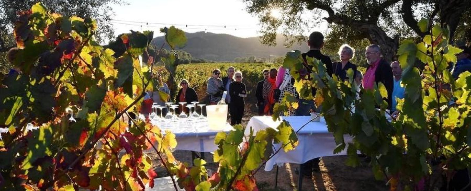 Soirée musicale au Favanquet à La Londe les Maures