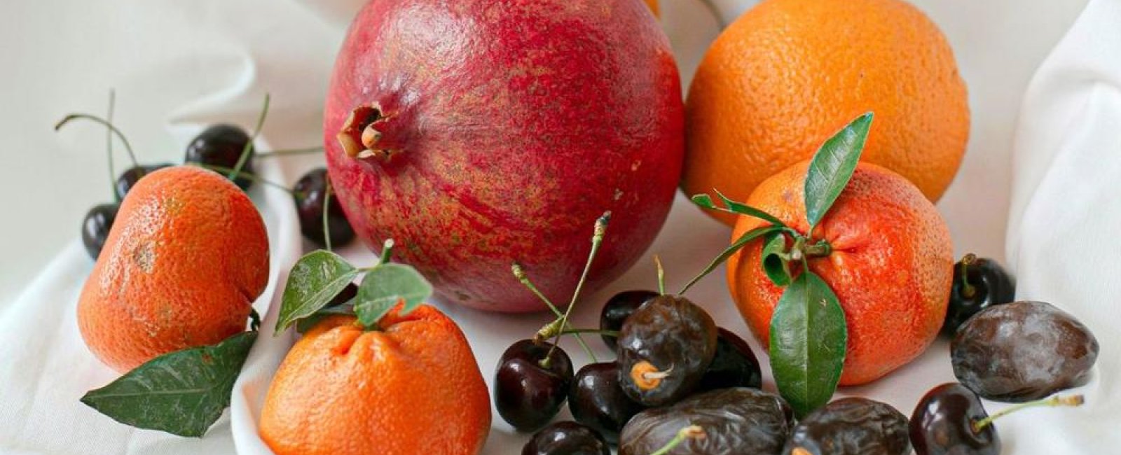 Atelier nature morte_Bormes-les-Mimosas