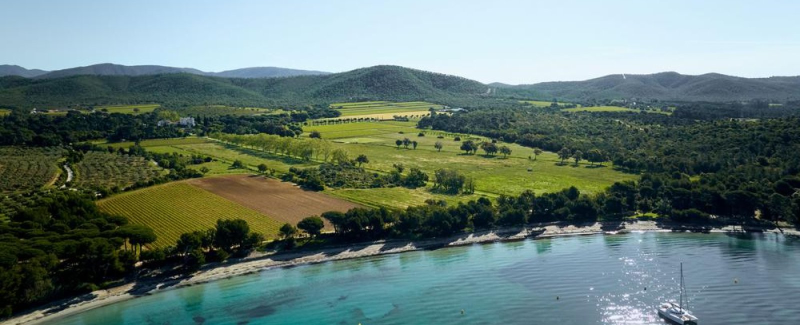 Vue aérienne du vignoble