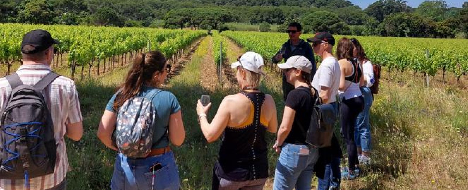 Balade oeno-sensorielle au domaine de la Courtade_Hyères