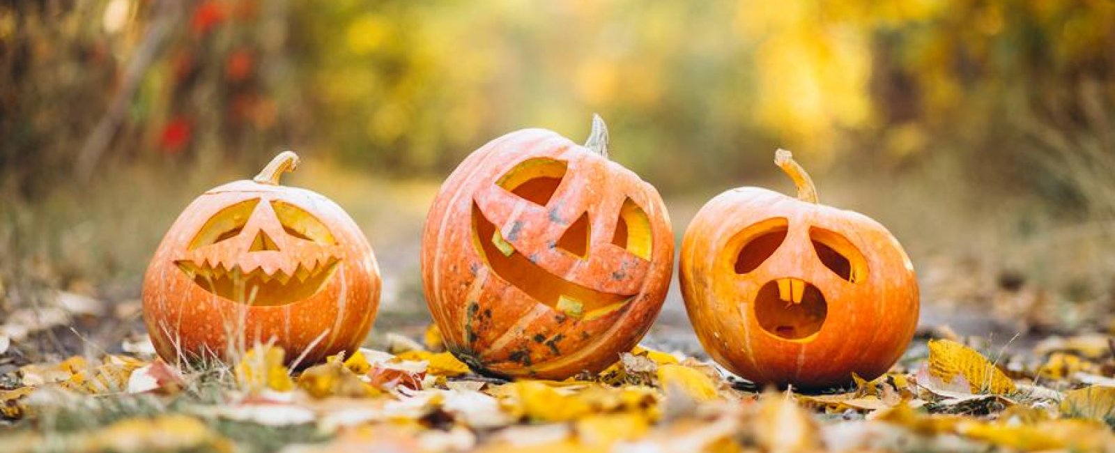 Les animations d'Halloween en Méditerranée Porte des Maures