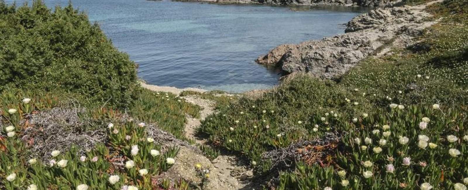 Visite guidée : Les Embiez, l'île au trésor anisé