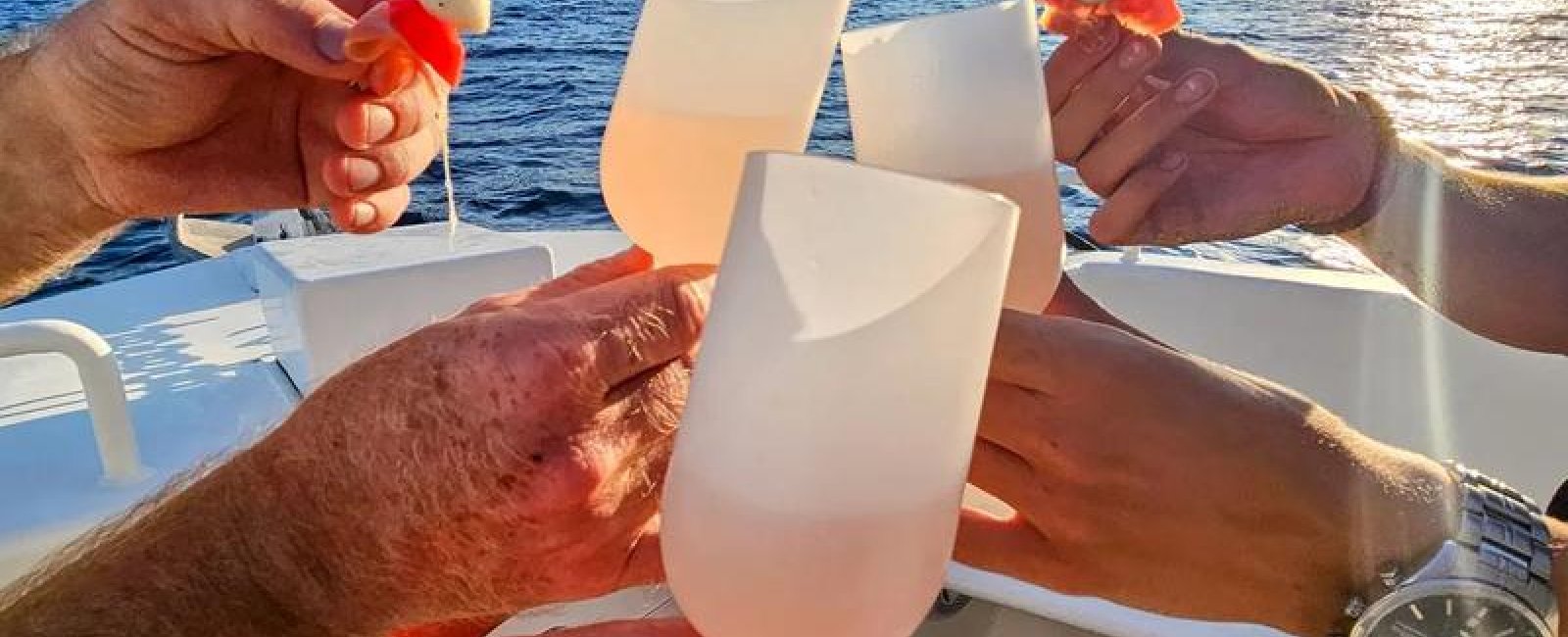 Croisière Dégustation - Un apéro en Mer 100% Électrique_Bormes-les-Mimosas