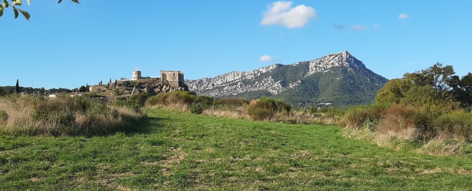 Sortie Botanistes en herbe