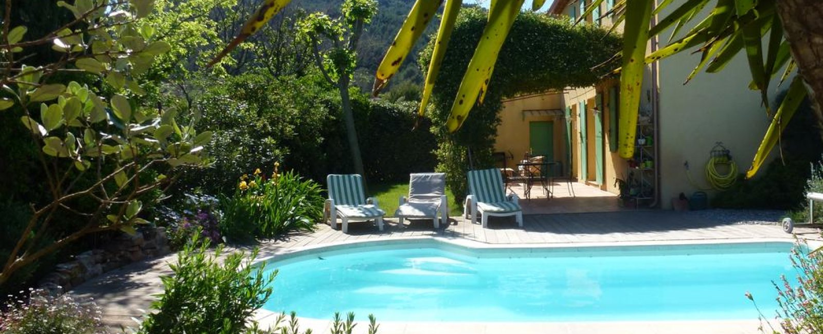 Les Myrtes/Piscine