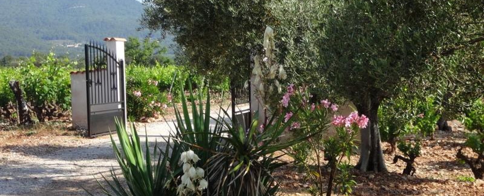 Bienvenue à la Campagne