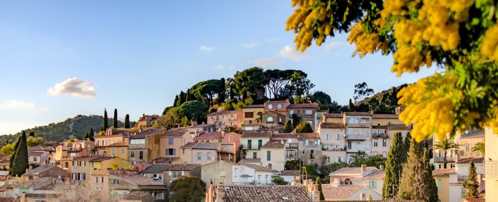 village avec mimosas