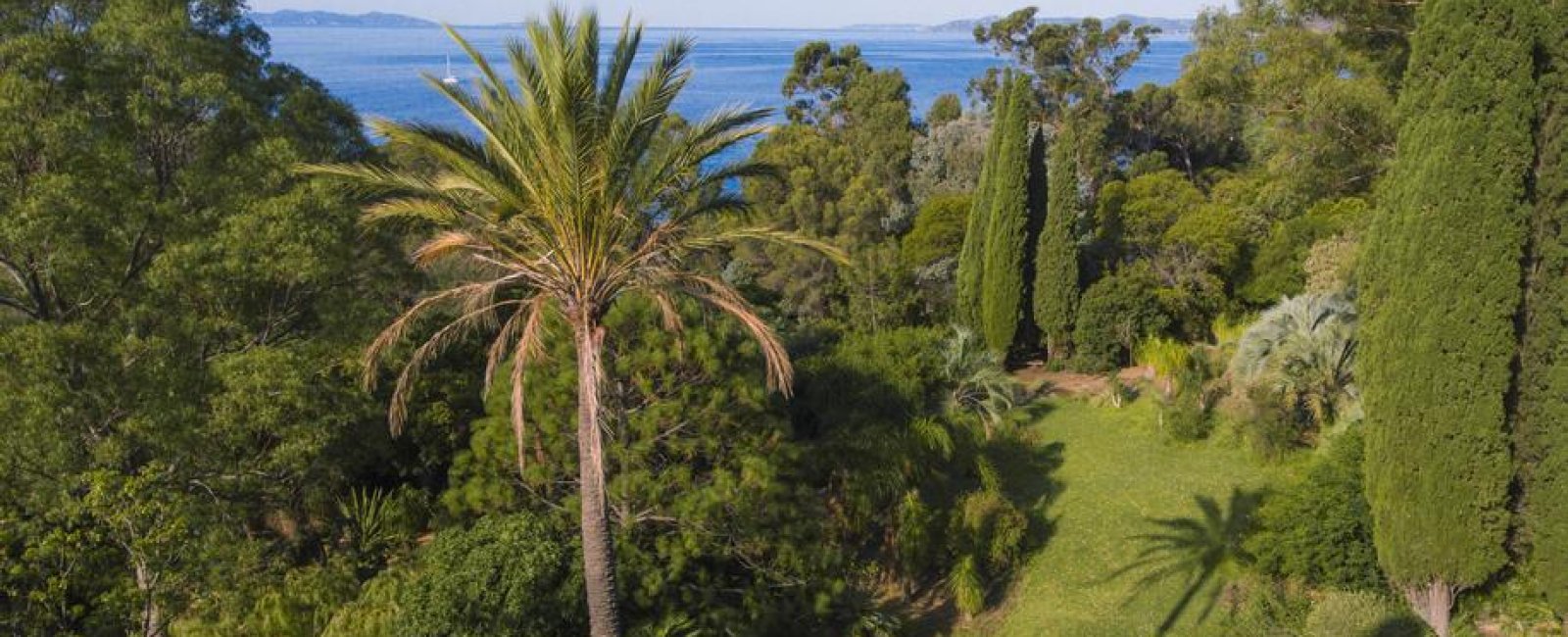 Domaine du Rayol, Jardin d'Amérique subtropicale