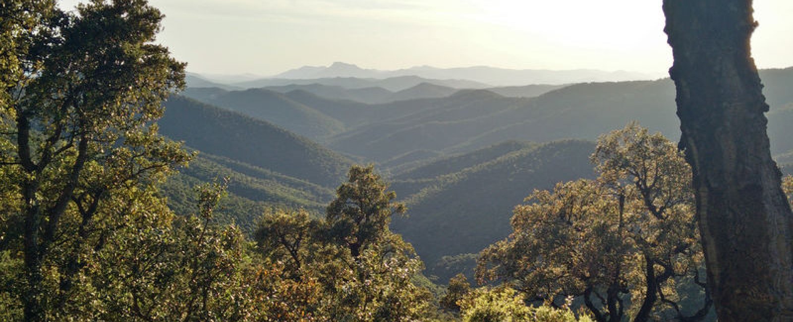 Massif des Maures