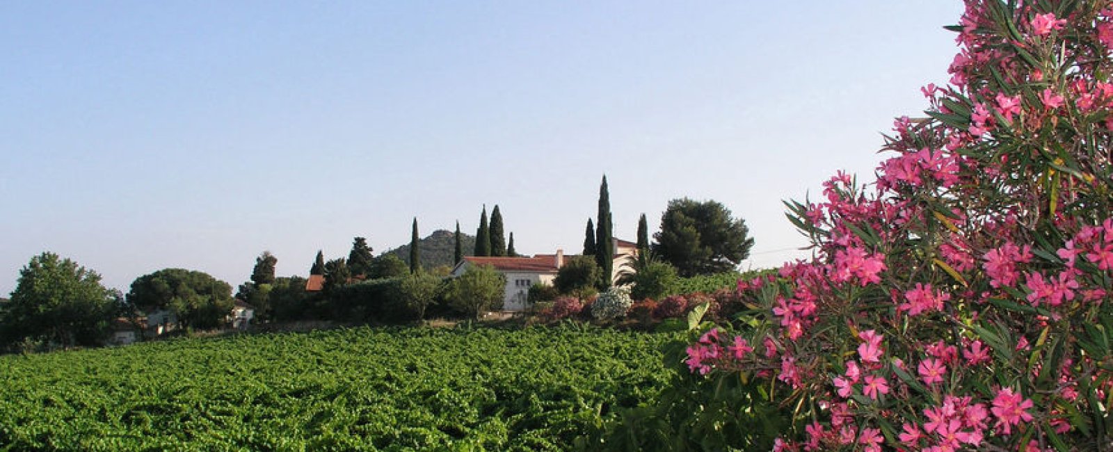 Château du Carrubier