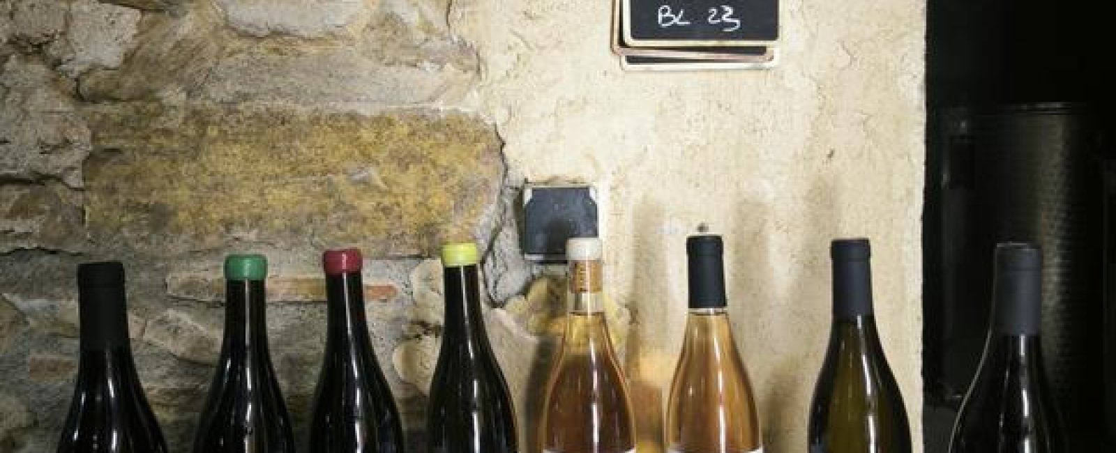 Vins biologiques du Domaine de Capelude