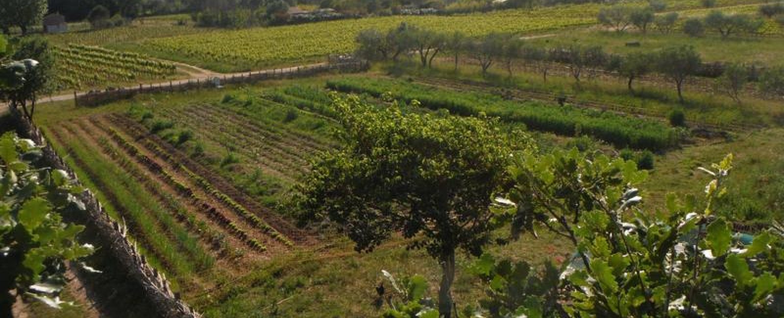 Jardin d'élise