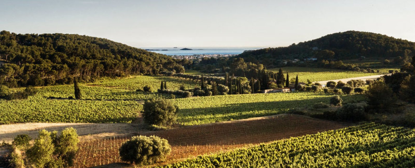 Domaine vue mer