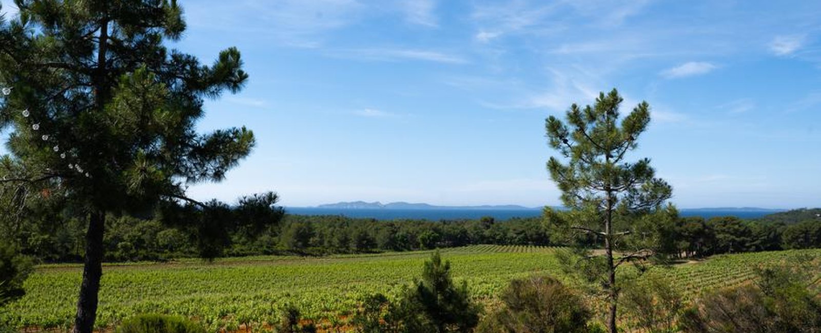 Domaine de la Sanglière_Bormes-les-Mimosas