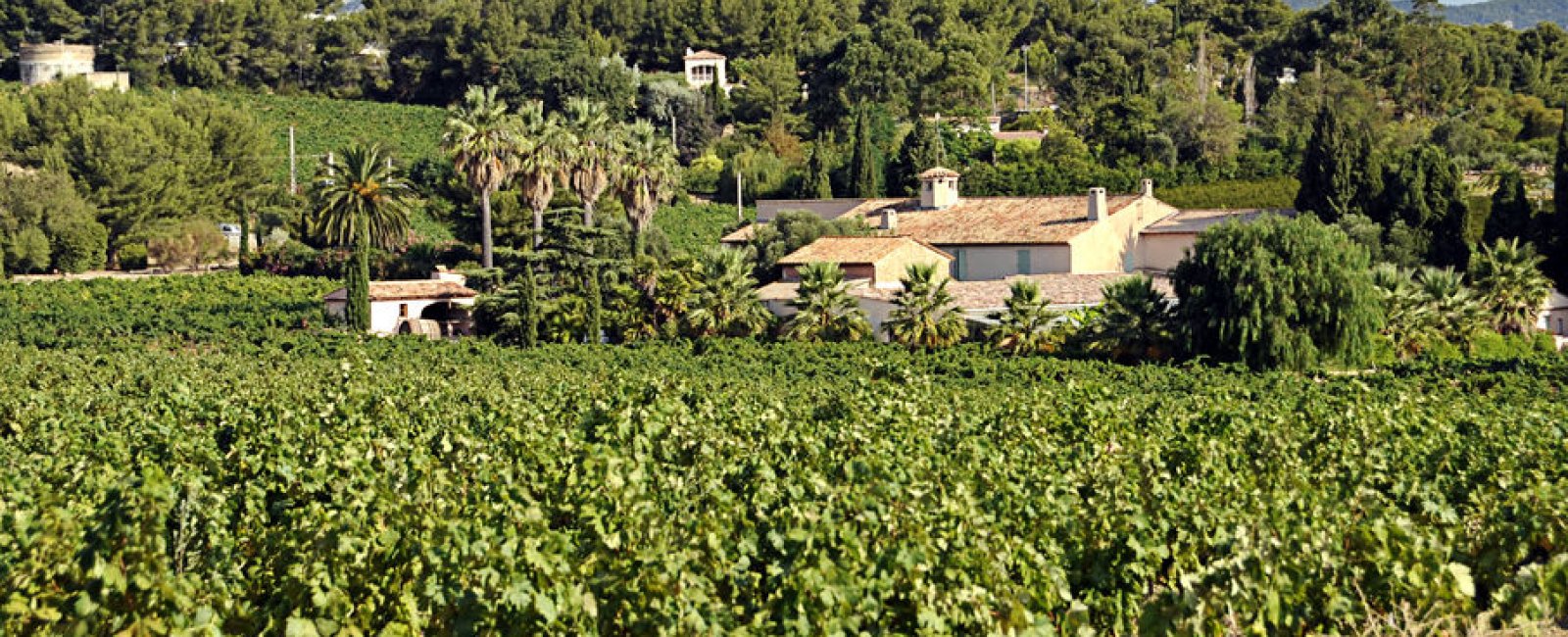 Clos Cibonne Le Pradet