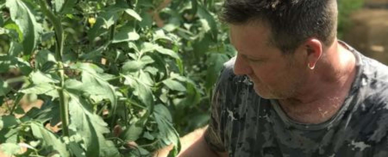 Fruits et légumes du producteur au consommateur à La Londe les Maures